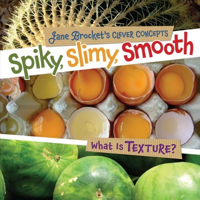 Spiky, slimy, smooth : what is texture? / Jane Brocket.