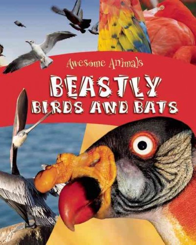 Beastly birds and bats / Lynn Huggins-Cooper.