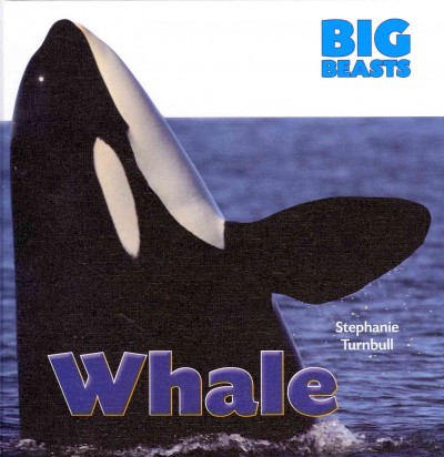 Whale / Stephanie Turnbull.