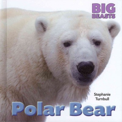 Polar bear / Stephanie Turnbull.