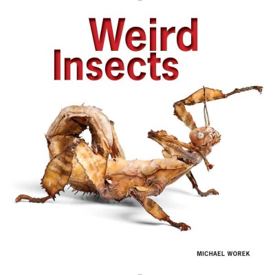 Weird insects / Michael Warek