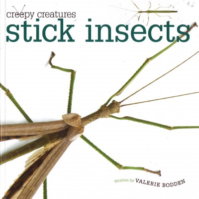 Stick insects / Valerie Bodden.