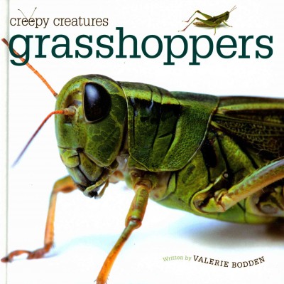 Grasshoppers / Valerie Bodden.