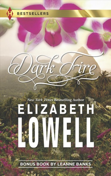 Dark fire / Elizabeth Lowell.