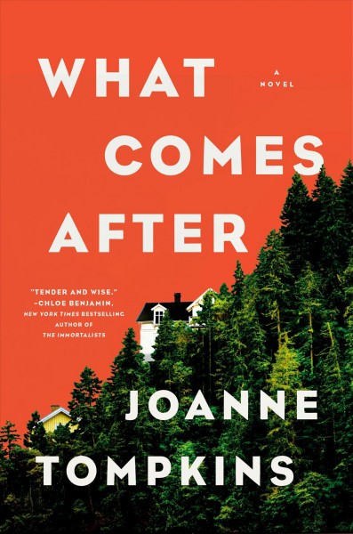 What comes after : a novel / JoAnne Tompkins.
