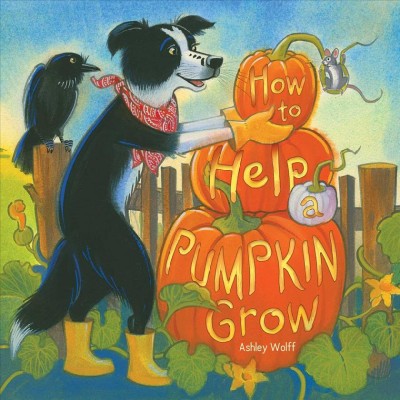 How to help a pumpkin grow / Ashley Wolff.