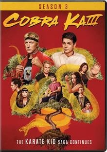 Cobra Kai. Season 3 / a Sony Pictures Television Studios production ; created for television by Josh Heald & Jon Hurwitz & Hayden Schlossberg.