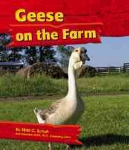 Geese on the farm.