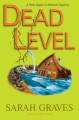Dead level : a home repair is homicide mystery  Cover Image