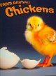 Chickens  Cover Image