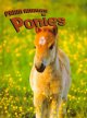 Ponies  Cover Image