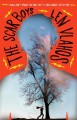 The Scar Boys : a novel  Cover Image