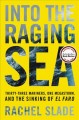 Go to record Into the raging sea : thirty-three mariners, one megastorm...