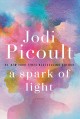 A spark of light : a novel  Cover Image