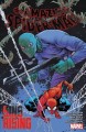 Go to record The amazing Spider-Man. Volume 9, Sins rising
