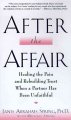 Go to record After the affair : healing the pain and rebuilding trust w...